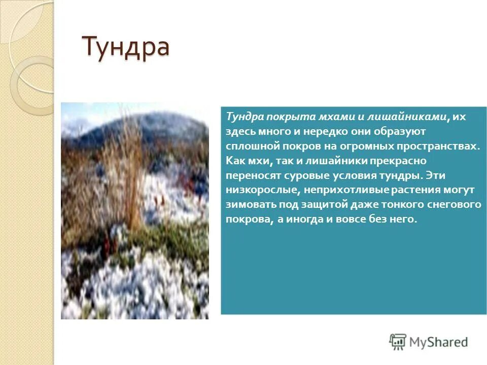 климат зима лето увлажнение тундры. пространственная структура тундры. природные условия тундры. климат тундры летом и зимой. условия тундры.