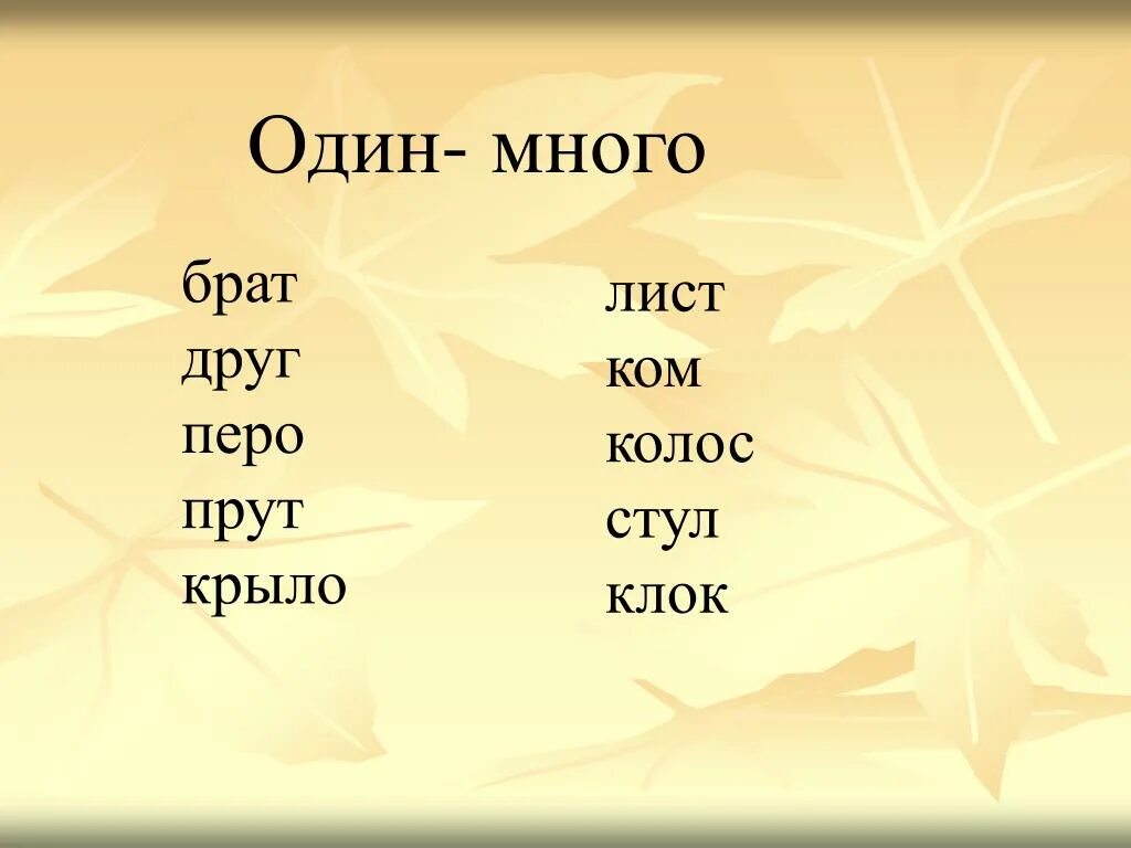 Напиши слова один много. Измени слова один- много. Брат лист крыло один много. Один много перо. Измени слова по образцу.