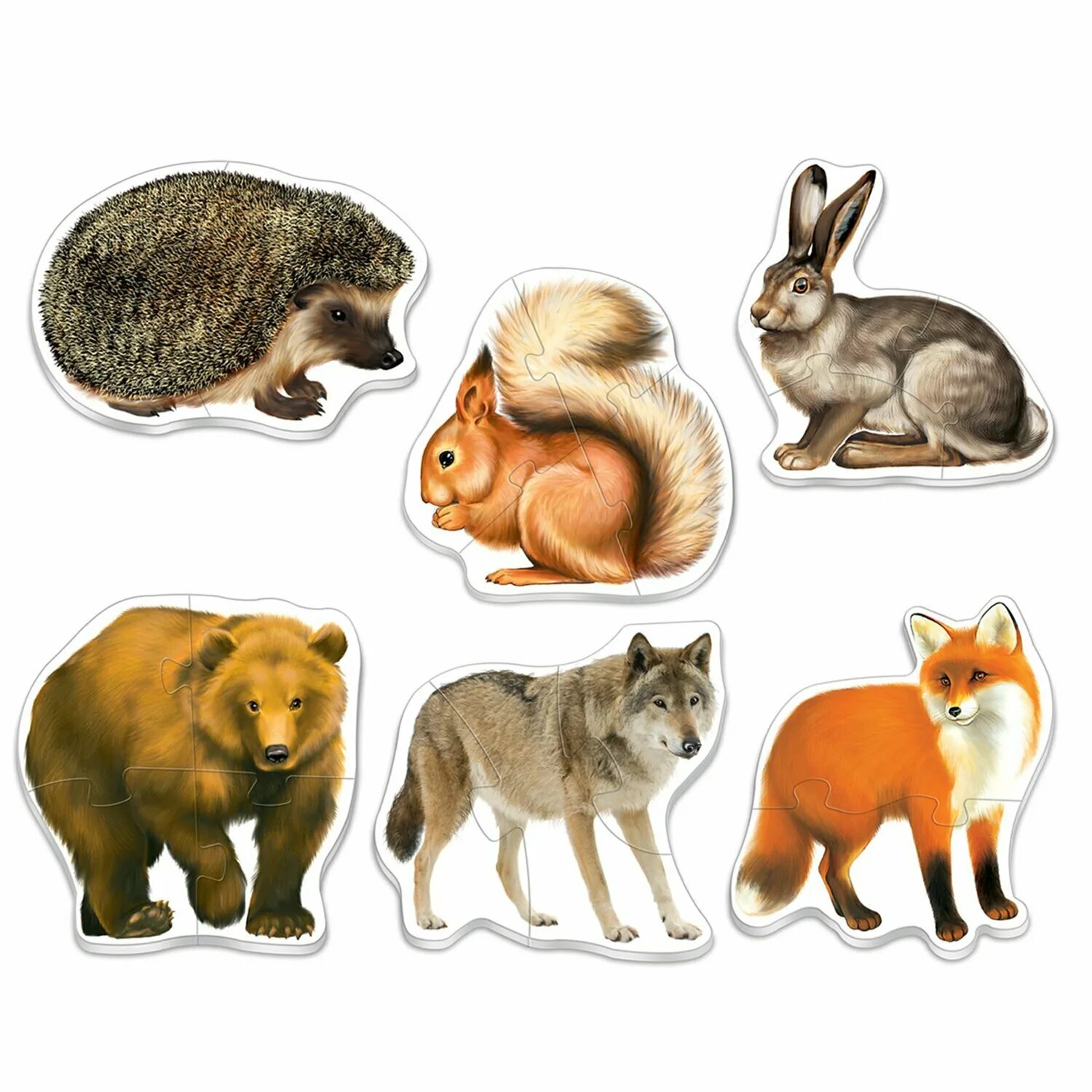 дикие животные для детей. дикие животные в доу. лесные животные для детей. дикие животные в доу. лесные животные для малышей.