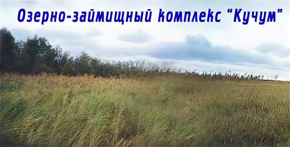 "тайна озера кучум". Кучум гора омская область. Все книги владимира топилина. Кучум гора ишим. Кучум гора ишим.