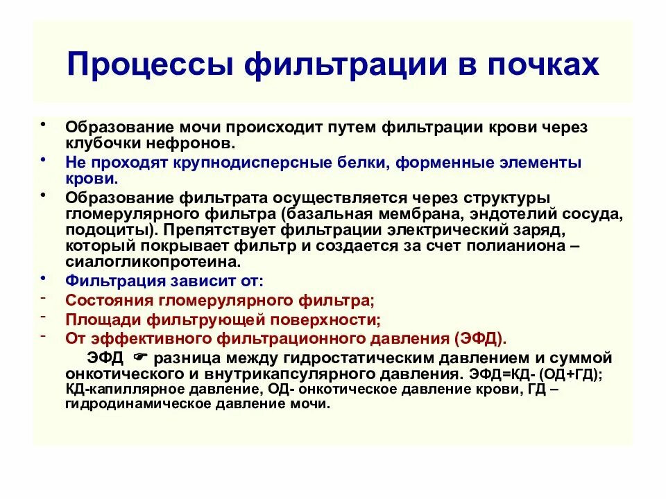 Фильтрация крови в почках. Процесс фильтрации в почке происходит. Фильтрация крови происходит в. Процесс фильтрации крови в почках. Нефрон ультрафильтрация