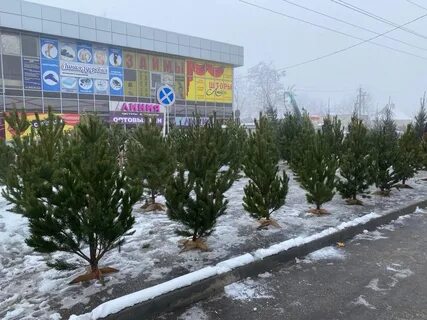 В кировском округе