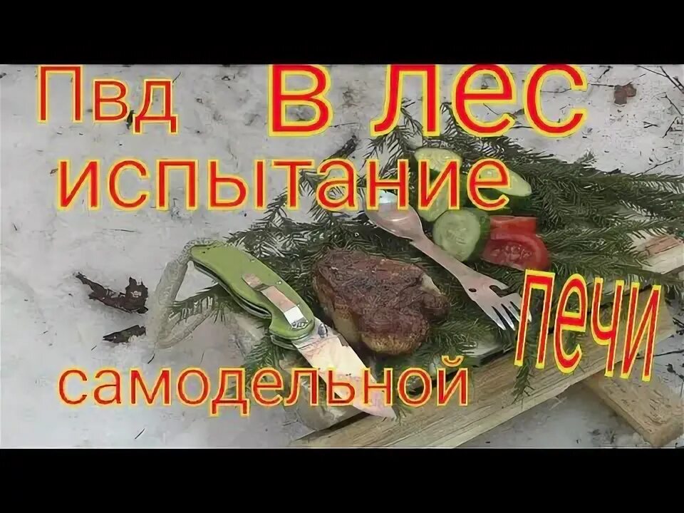 Мчс в лесах. Почему первобытный человек выжил. Выполни испытание в лесу. Лес страдает. Охранник леса.