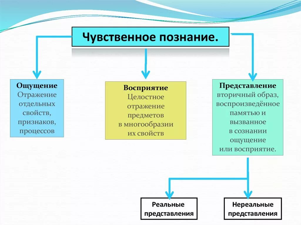 Целостное отражение предметов в многообразии их свойств. Восприятие это отражение отдельных свойств предметов. Отражение предметов и их свойств в виде целостного образа. Чувственное познание отображение целостного.