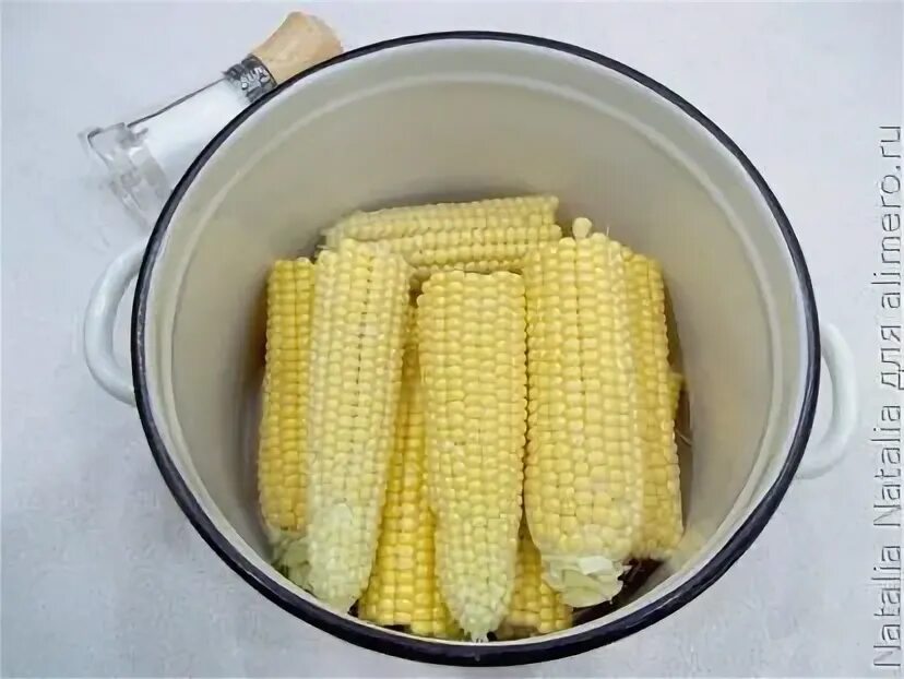 Кукуруз 10