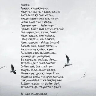 Бразилиялық транни порносын қараңыз