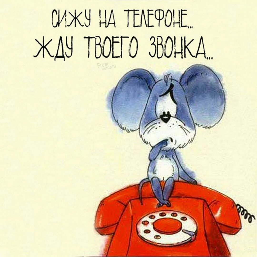 Я жду твоего звонка. Открытка жду звонка. Смешная картинка жду звонка. Открытка а я ждала твоего звонка. Позвони мне и конечно мы поговорим