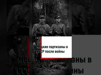 Немцы про партизан