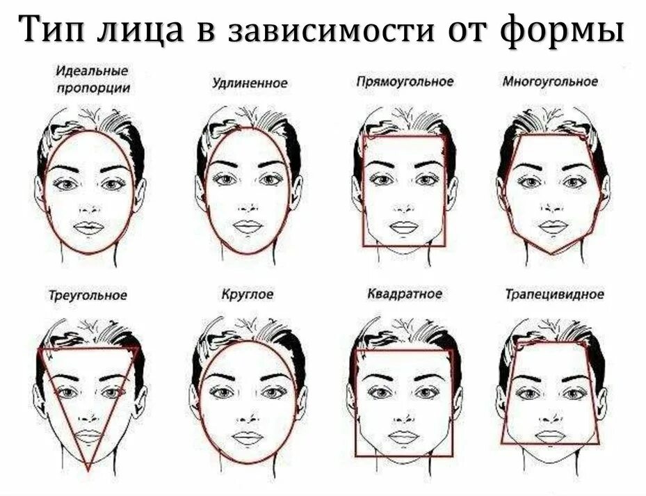 Какие выделяют формы лица
