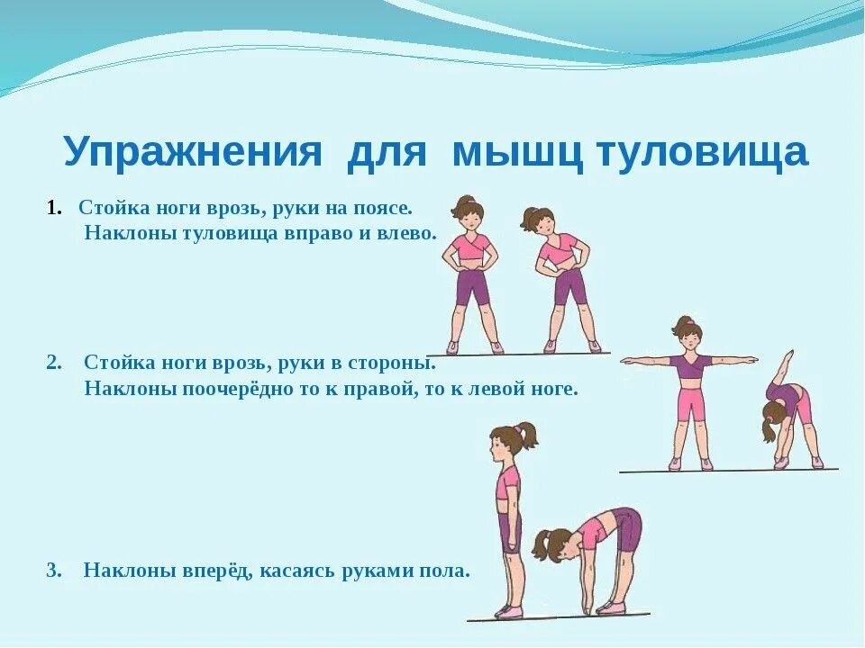 Задача гимнастики восполнить