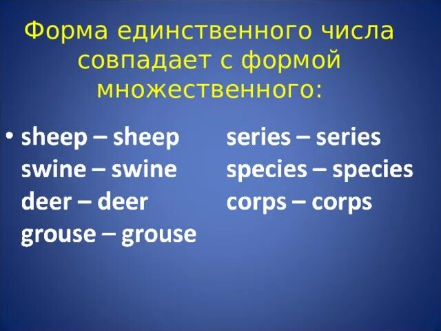 Множественная форма. Species множественное число. Sheep……образовать множественное число. Форма единственного числа. Множественная форма часы