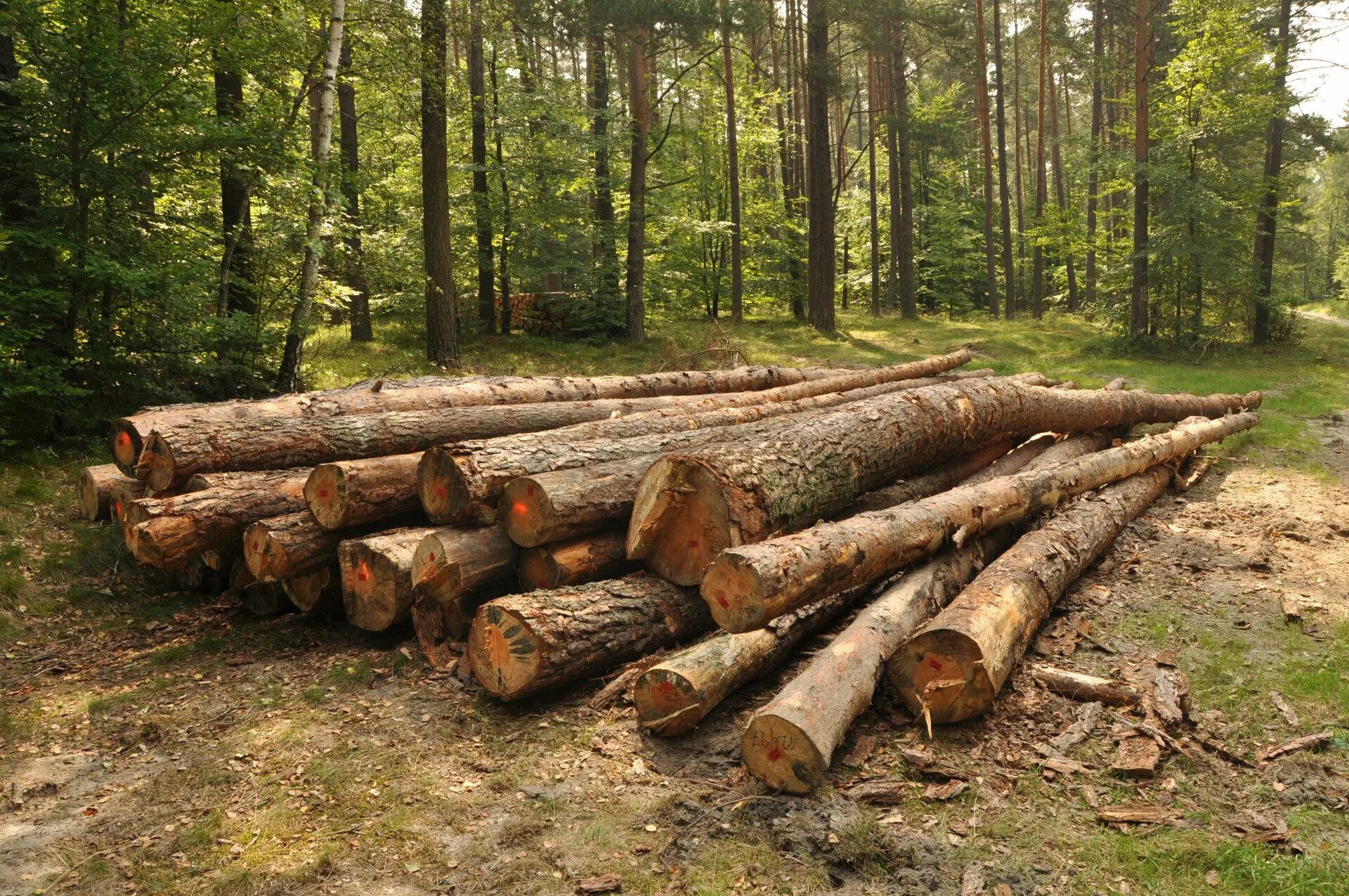 Logging service