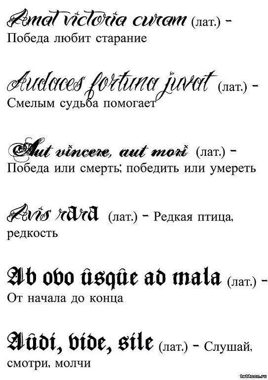 Шгш наколки текст. Фразы для татуировок. Тату для девушек надписи с переводом. Эскизы тату надписи с переводом для девушек. Латинские фразы для татуировок.