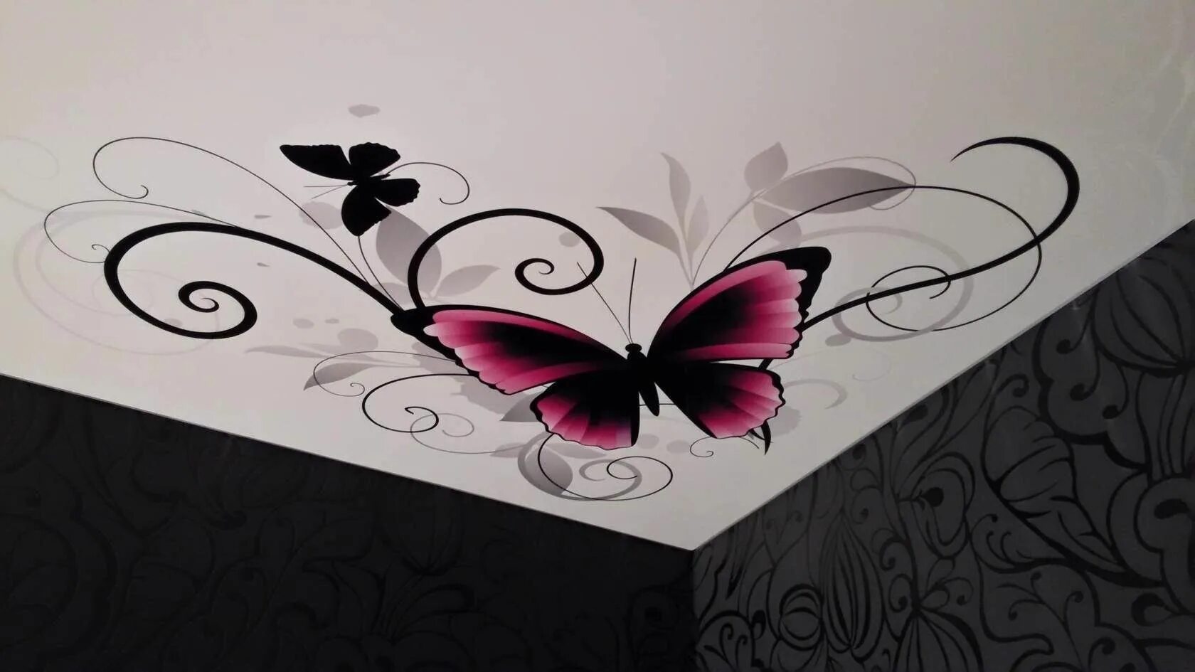 Бабочка черный глянец. Натяжные потолки с фотопечатью бабочки. Натяжные потолки с узорами. Бабочки на потолке. Фотопечать на потолке бабочки.