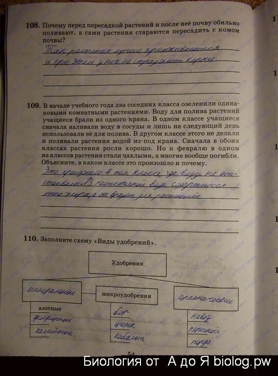 Биология 6 класс параграф 20 пересказ. Заполните схему виды удобрений. Схема удобрения 6 класс биология. Виды удобрений 6 класс биология. Схема виды удобрений биология 6 класс.