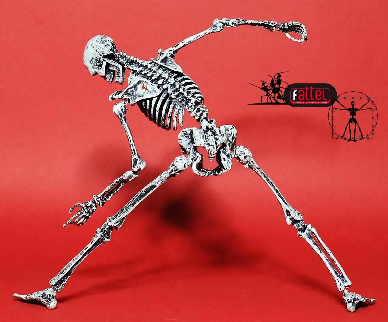 Скелет 6 класс. Скелет. скелет человека. skeletor figure. крылатый скелет.