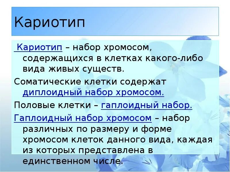 В соматических клетках диплоидный набор хромосом. Кариотип человека гаплоидный и диплоидный наборы хромосом. гаплоидный и диплоидный набор хромосом. кариотип гаплоидный. кариотип человека диплоидный набор хромосом.