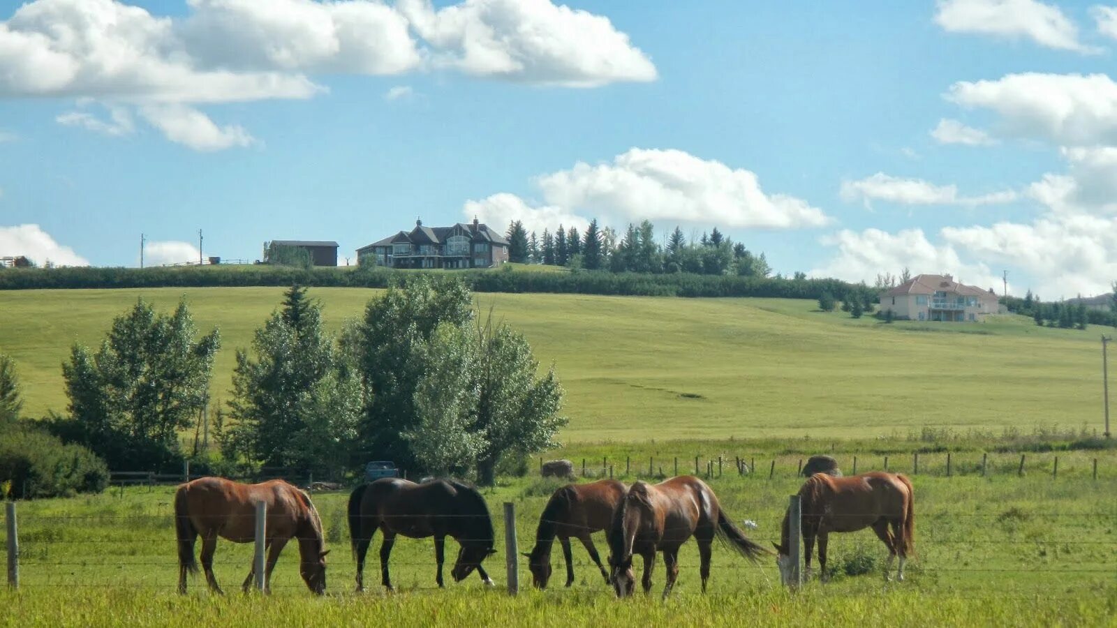 Countryside in the Canada. Vast country