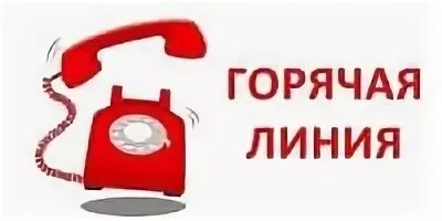 Как позвонить в вайлдберриз
