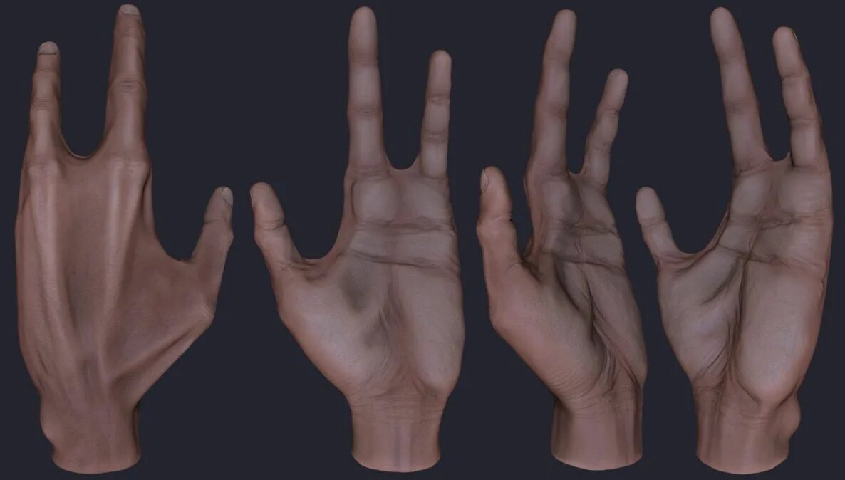 Три пальца у человека