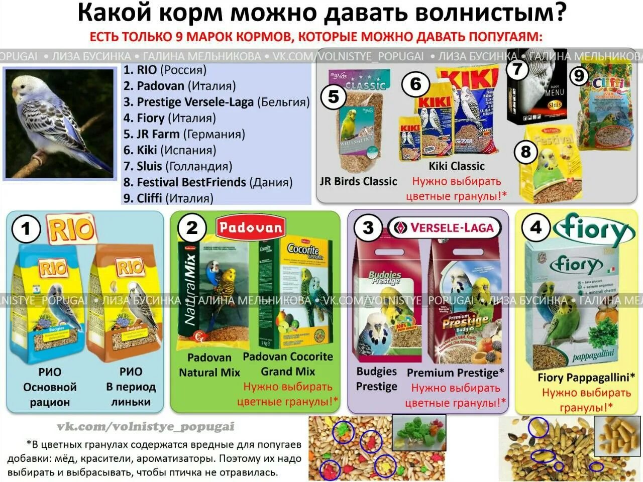 Какие овощи давать волнистому попугаю. Что можно давать валнистым папугаем. что можно давать волнистым попугаям. какие корма можно давать. какую какие корма можно давать волнистым попугаям.