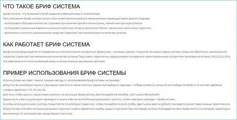 Бриф тото