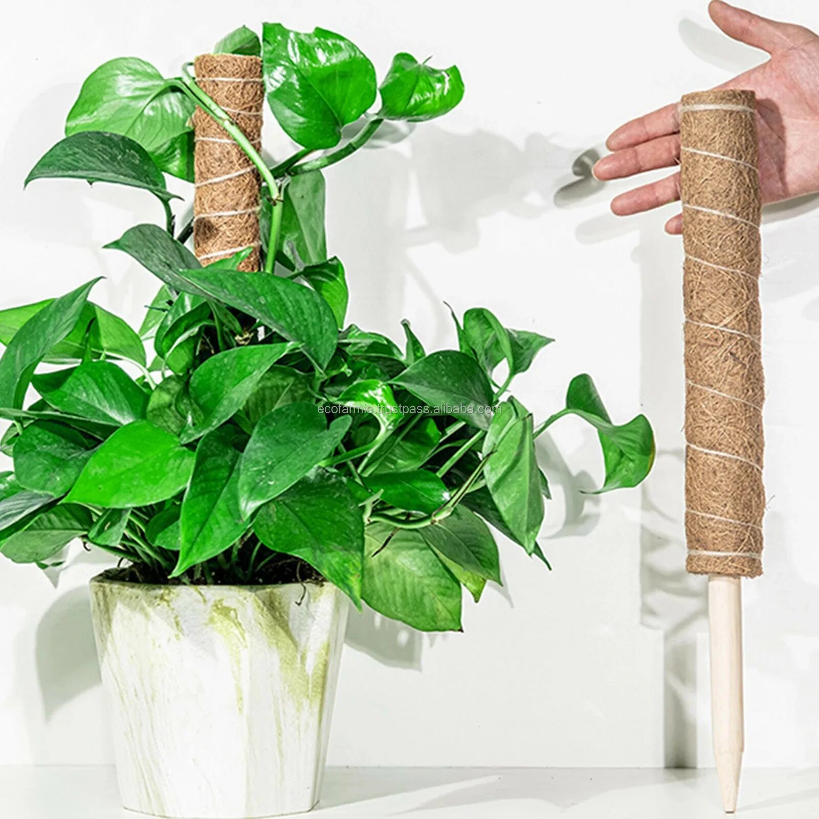 Палка для растений. Палка для цветов. Палка опора для цветов. Опора тотем для растений. Опора бамбук 150см вр-150 /listok.