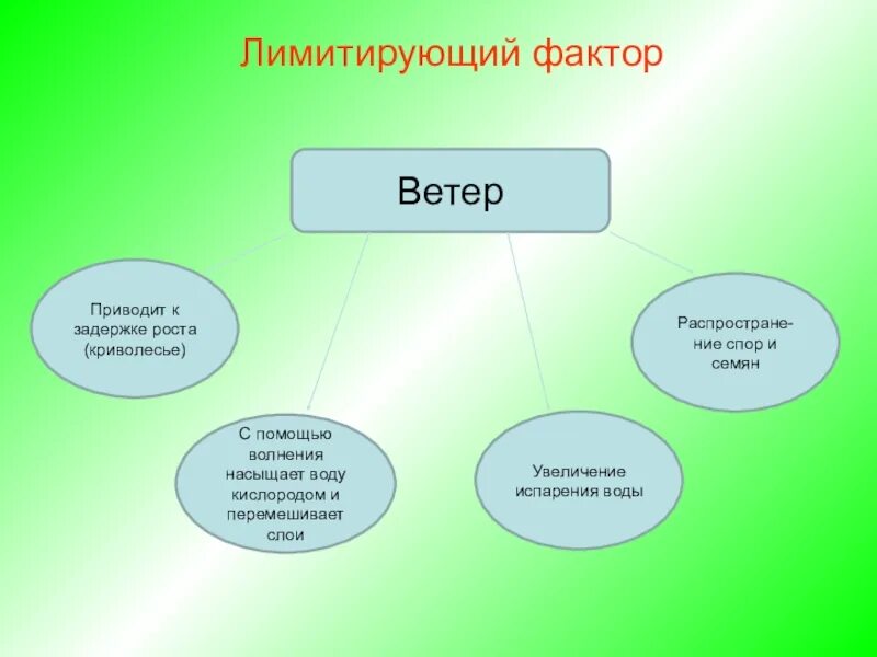 Лимитирующий фактор. Лимитирующий фактор это в экологии. Лимитирующие экологические факторы. Лимитирующие факторы для растений. Лимитирующие факторы лесов