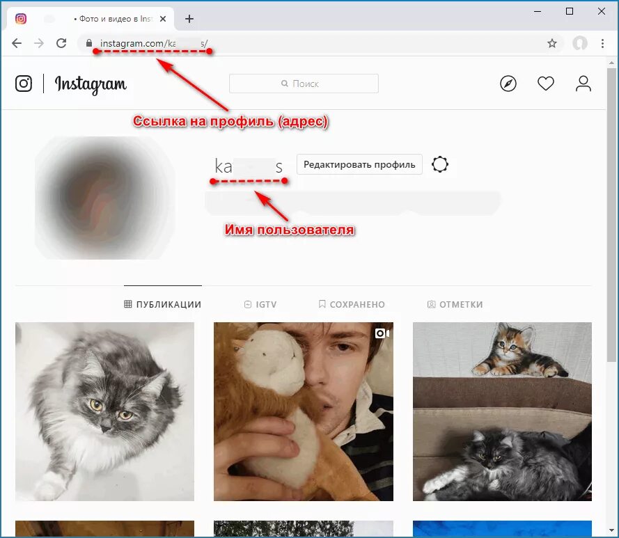 Адрес инстаграмма. Адрес Инстаграм. Адрес сайта Инстаграмм. Инстаграм адрес страницы. Как написать адрес в Инстаграм.