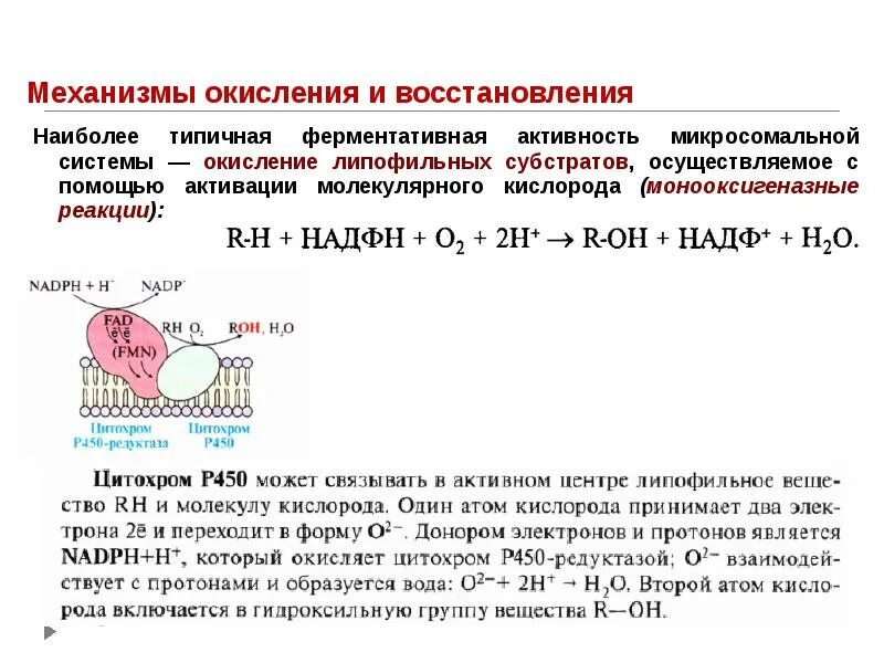 Реакции микросомального окисления. Механизм реакции окисления. механизмы микросомального окисления. окисление и восстановление. субстраты микросомального окисления.