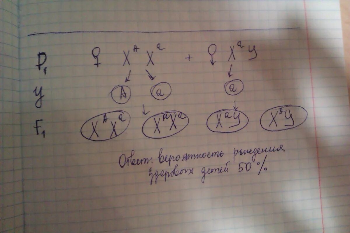 Отсутствие малых коренных зубов. Доминантный ген человека. Отсутствие малых коренных зубов у человека наследуется. Потемнение зубов доминантный признак сцепленный.