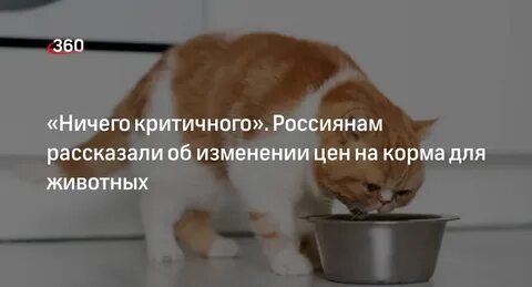Почему подорожали корма