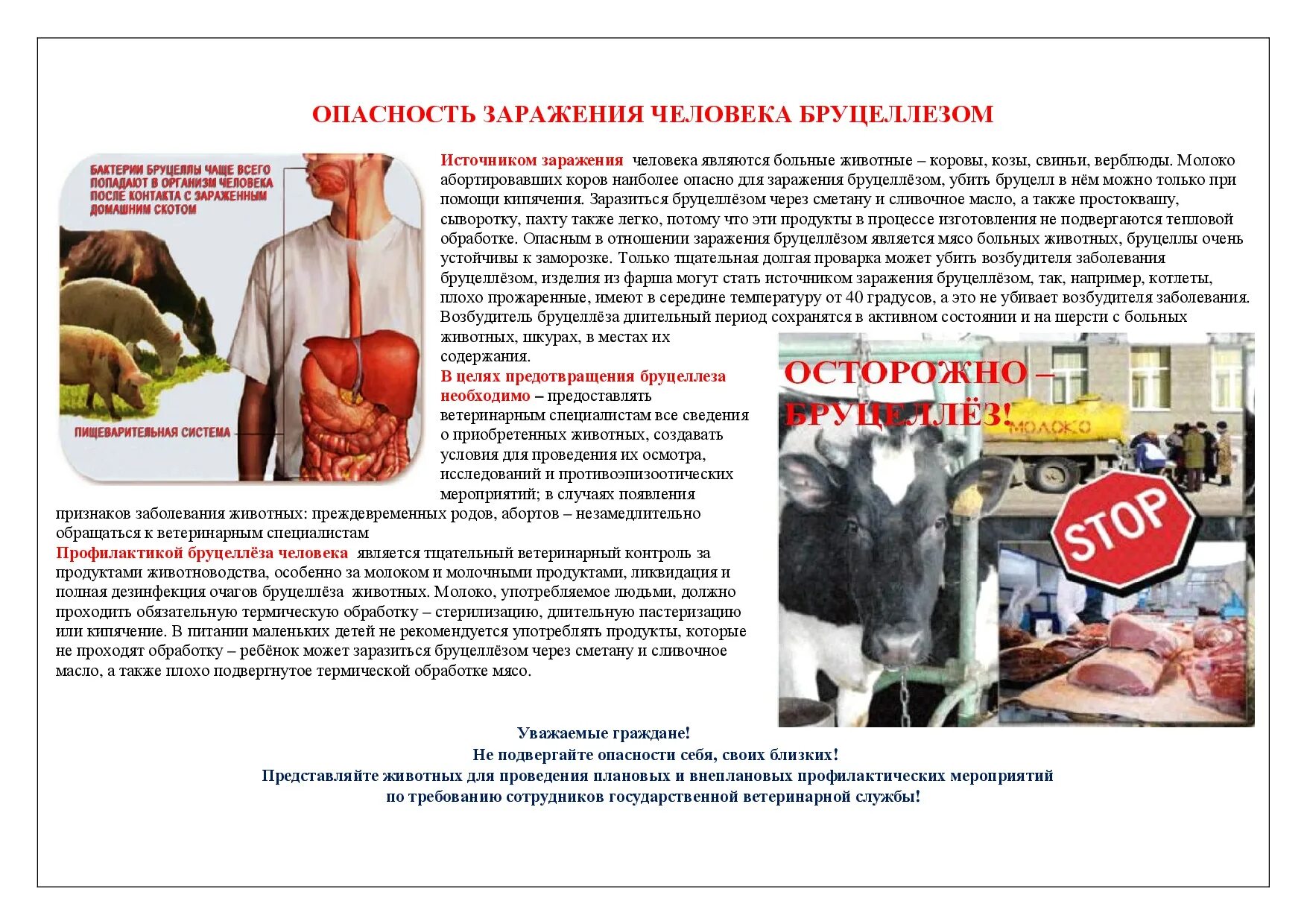 Ветеринарный контроль молока