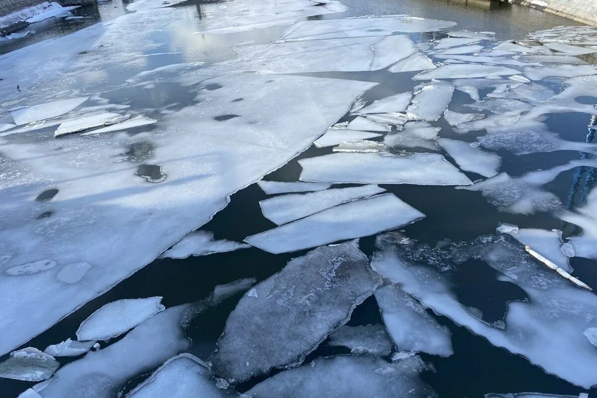 Ледоход в Омске 2023. Ледоход на Оби. Ледоход фото. Начало ледохода. Ледоход в барнауле 2024