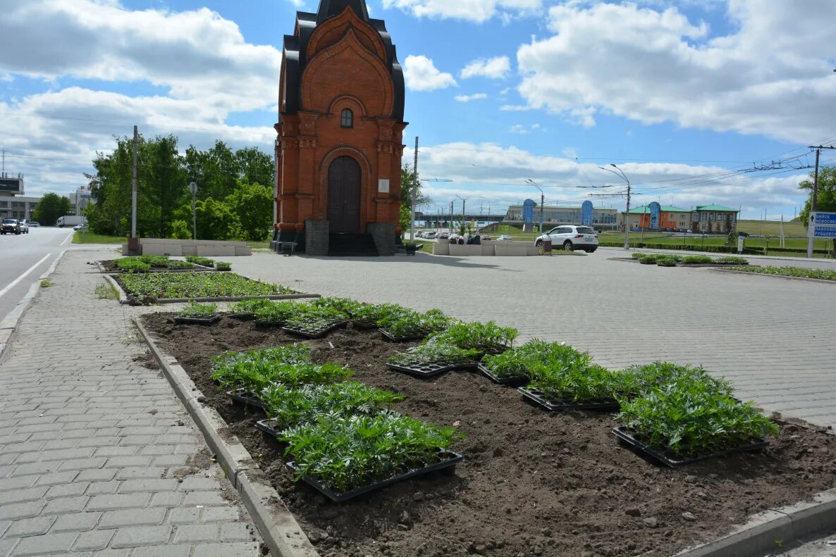 Барнаул ул толстого. Барнаул лето улицы. Барнаул улицы города. Барнаул Центральная улица. Водозаборная улица Барнаул.