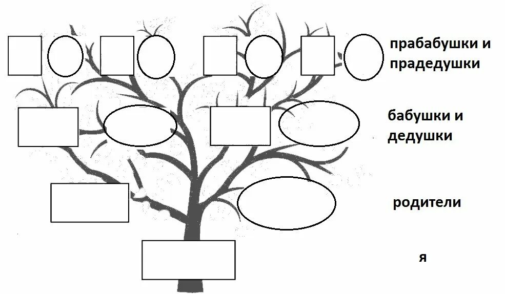 Генеалогическое дерево семьи снизу вверх. Генеалогическое Древо семьи рисунок. Схема родословного дерева. Генеалогическое дерево рисунок для детей. Древо семьи 2 класс шаблон