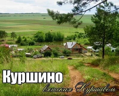 Куршино