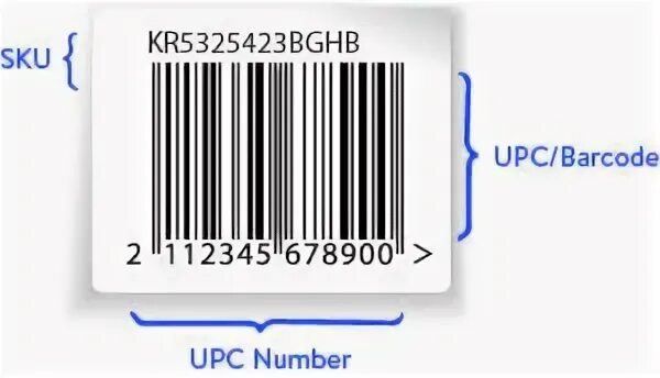6 sku