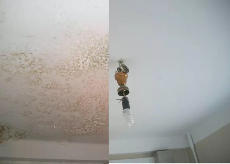 После покраски потолка. Побелка потолка. Потолок после покраски. Окрашенный потолок до и после. Краска для потолка до и после.