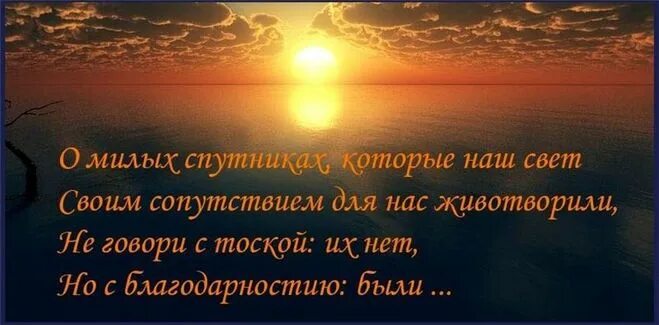 О милых спутниках жуковский. О милых спутниках которые наш свет своим сопутствием. Но с благодарностию были. Жуковский о милых спутниках которые наш свет. Жуковский о милых спутниках которые наш свет.