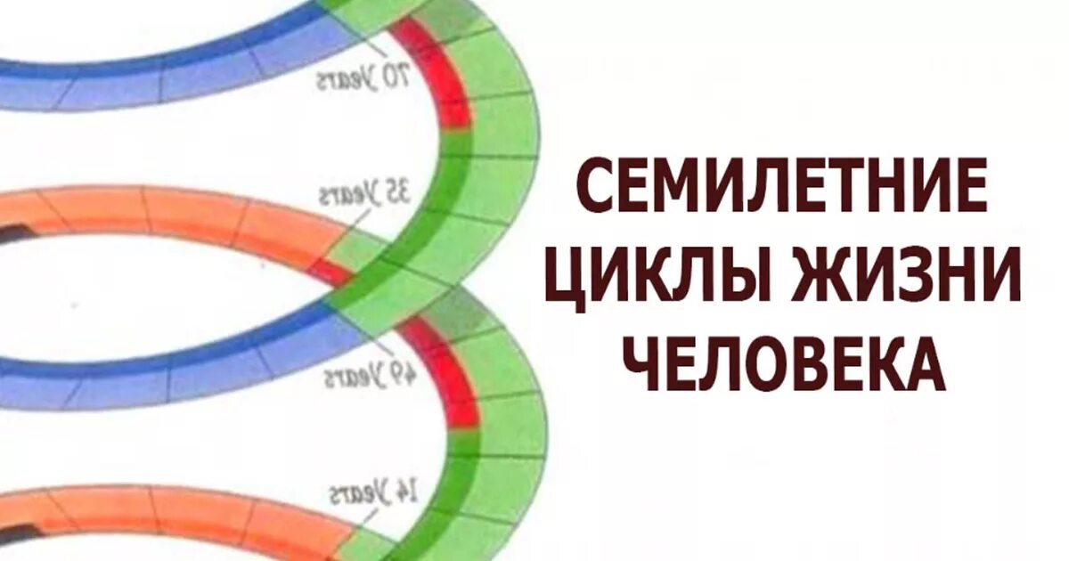 Семилетние циклы жизни. Семилетние циклы в жизни человека. 7 Летние циклы жизни человека. Цикл человеческой жизни. Цикличность жизни человека.