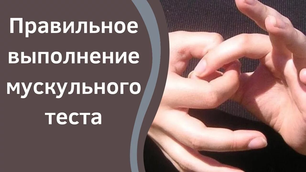 Мускульный. Мускульный тест. мышечное тестирование. мускульный тест тета хилинг. мускульно мышечный тест.