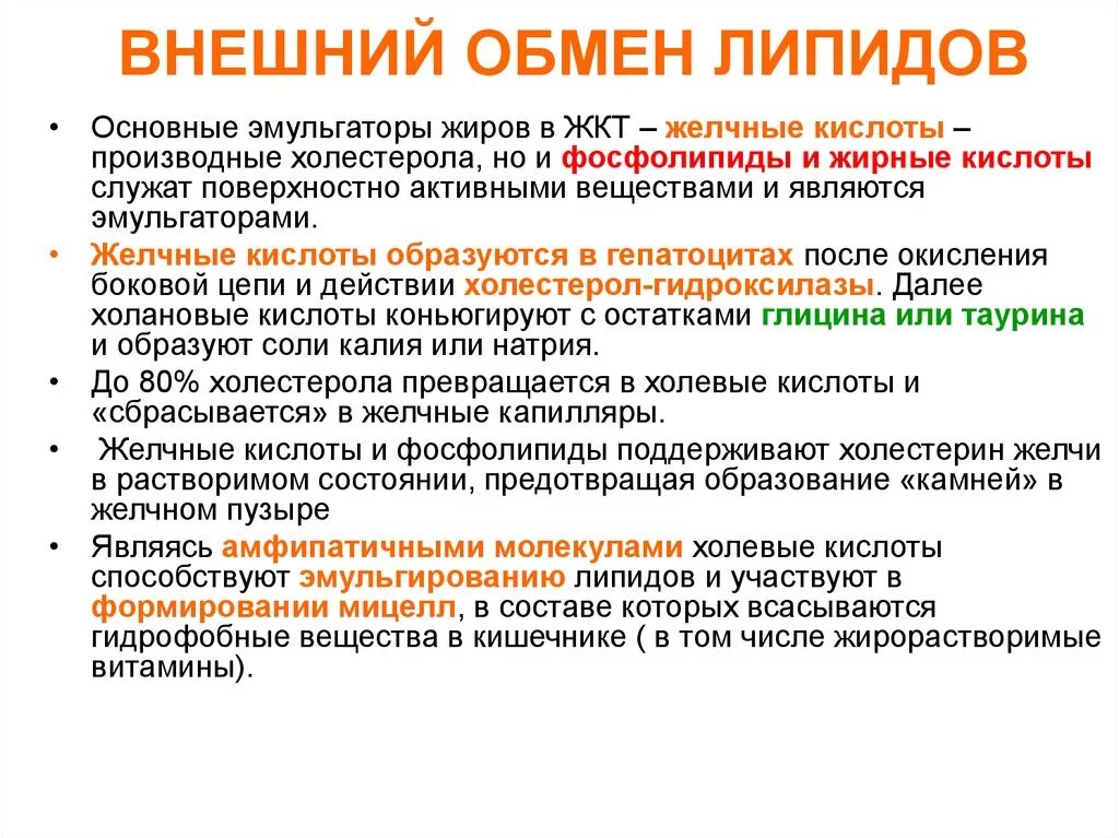 Основные липиды пищи. Внешний обмен липидов. Внешний обмен липидов биохимия. Функции липидов биохимия. Ферменты липидного обмена.