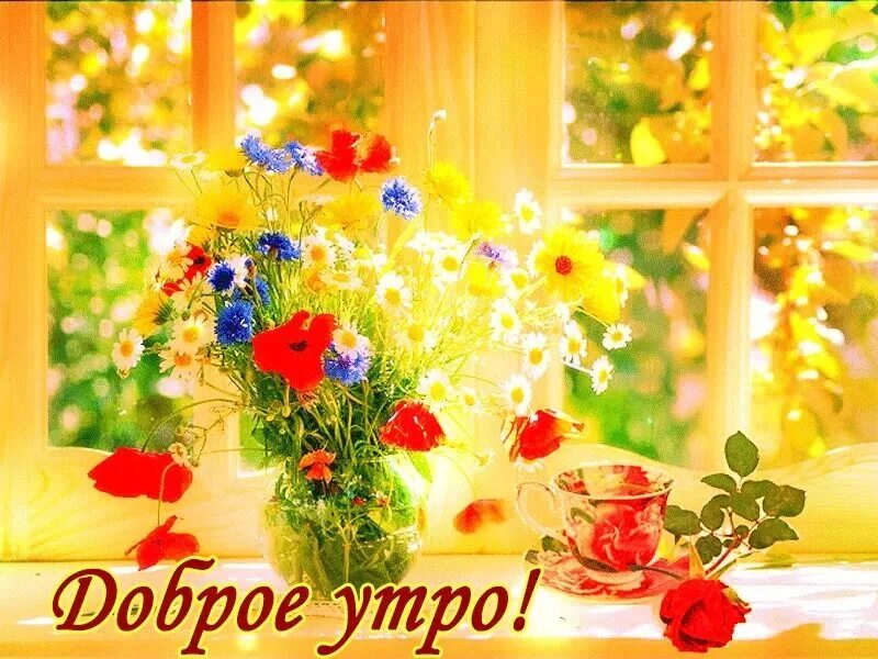 Красивые открытки с добрым летним. Доброе солнечное утро. с добрым летним утром. доброе летнее утро. доброе утро солнечного настроения.