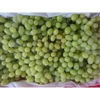 Виноград киш
