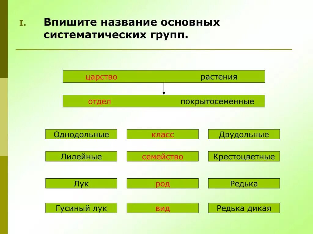 Название групп органов. Систематика царства растений биология 5 класс. Систематика растений 6 класс биология. Систематика царства растений биология 6 класс. Систематика царства растений таблица.