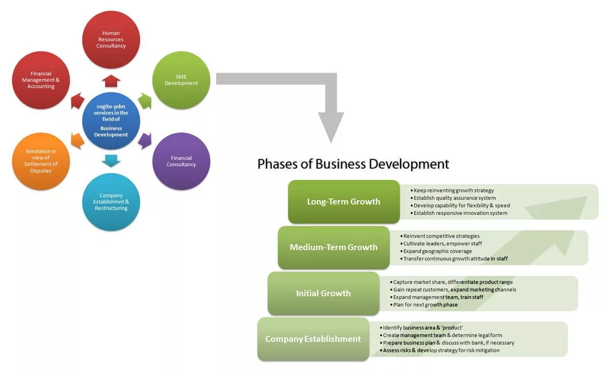 Dev detail. Service Business Development. Product Development Business. Growth Strategy Development компания. Бизнес-девелопментом.