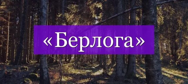 Берлога проверочное