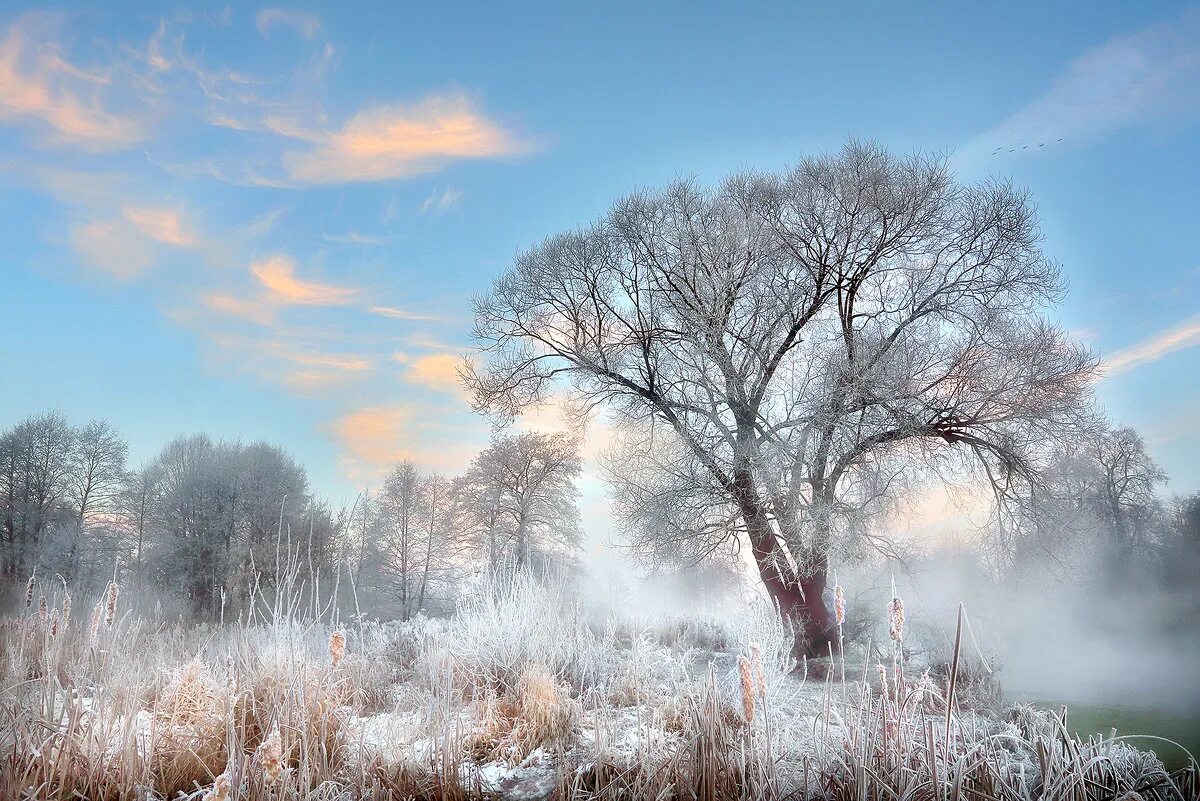 Доброе ноябрьское утро картинки. Морозный пейзаж. Морозное ноябрьское утро. Морозное осеннее утро. Морозный ноябрь.