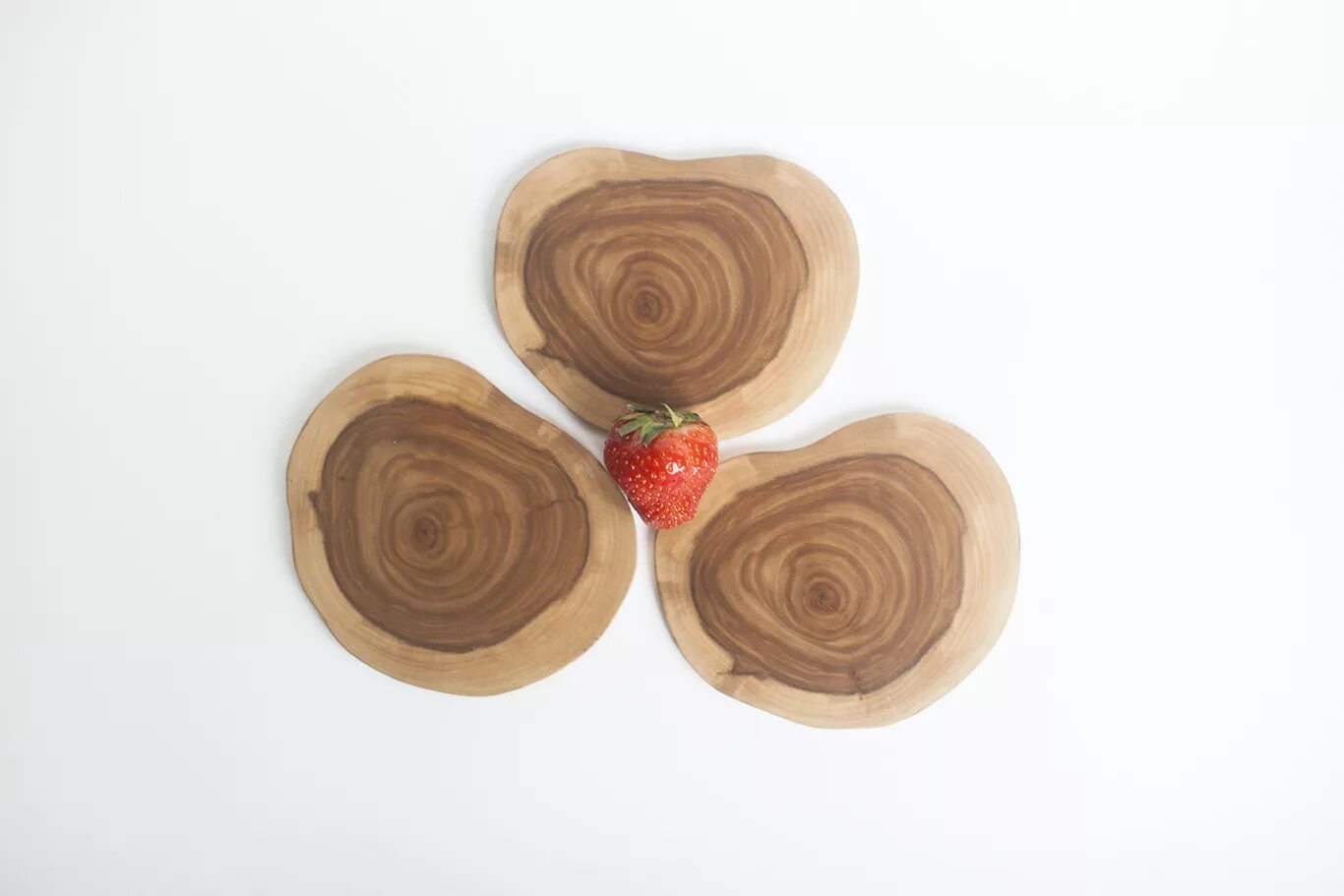 заболонь березы. поперечный спил ясеня. лиственница сибирская ядро заболонь. спил тиса ягодного. заболонь березы.